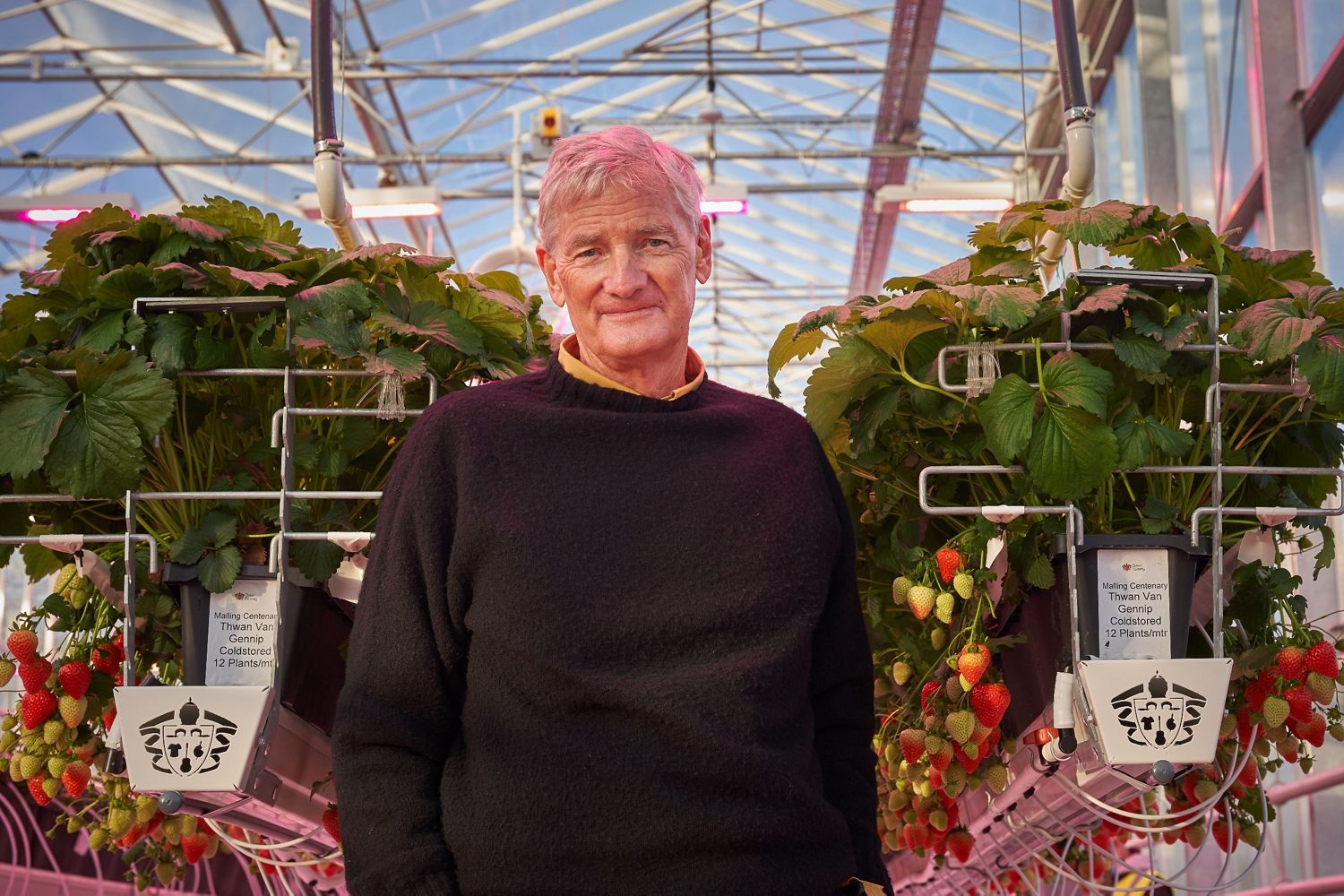 James Dyson in the glasshouse